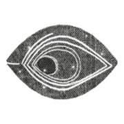 Pâvoia Logo