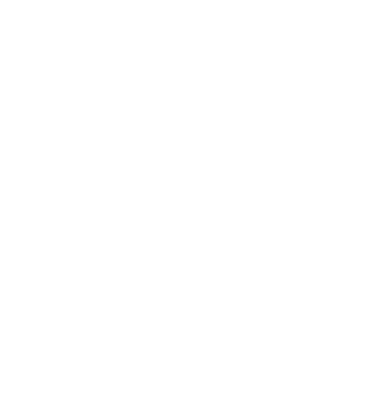 Waldschlucht Open Air Logo